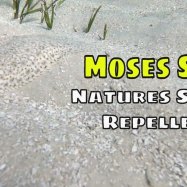 Moses Sole