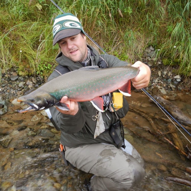 Dolly Varden Trout