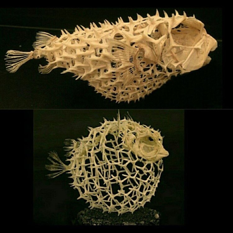 Spikefish
