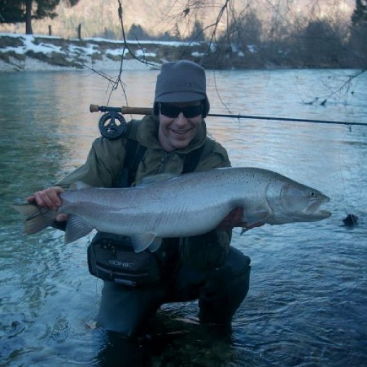 The Mighty Danube Salmon - A Jewel of Central and Eastern Europe