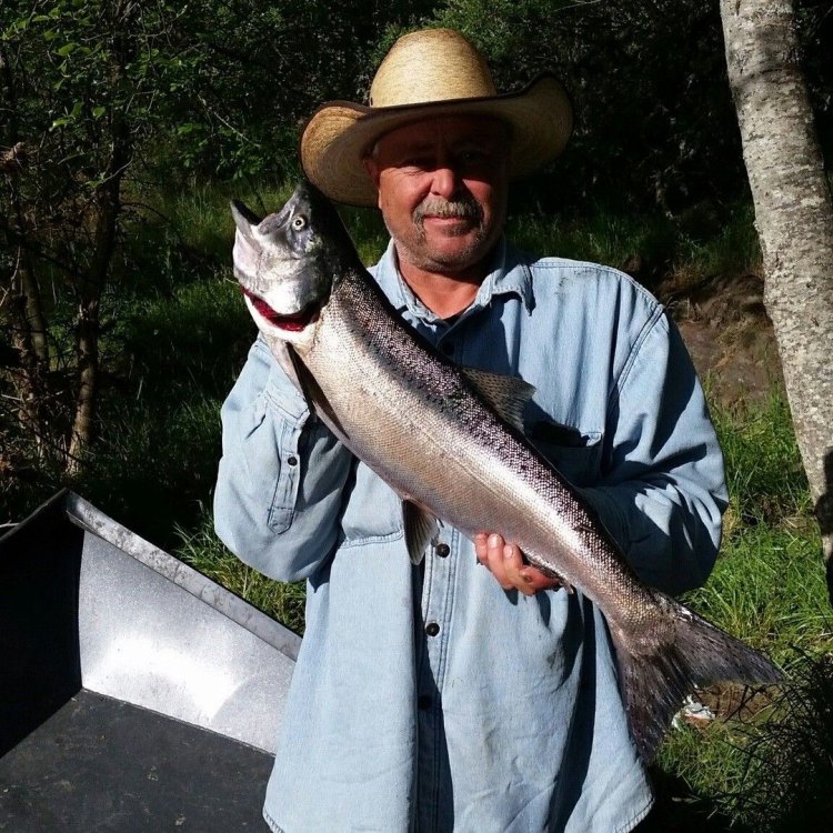 Magnificent Chinook Salmon: The King of the Pacific