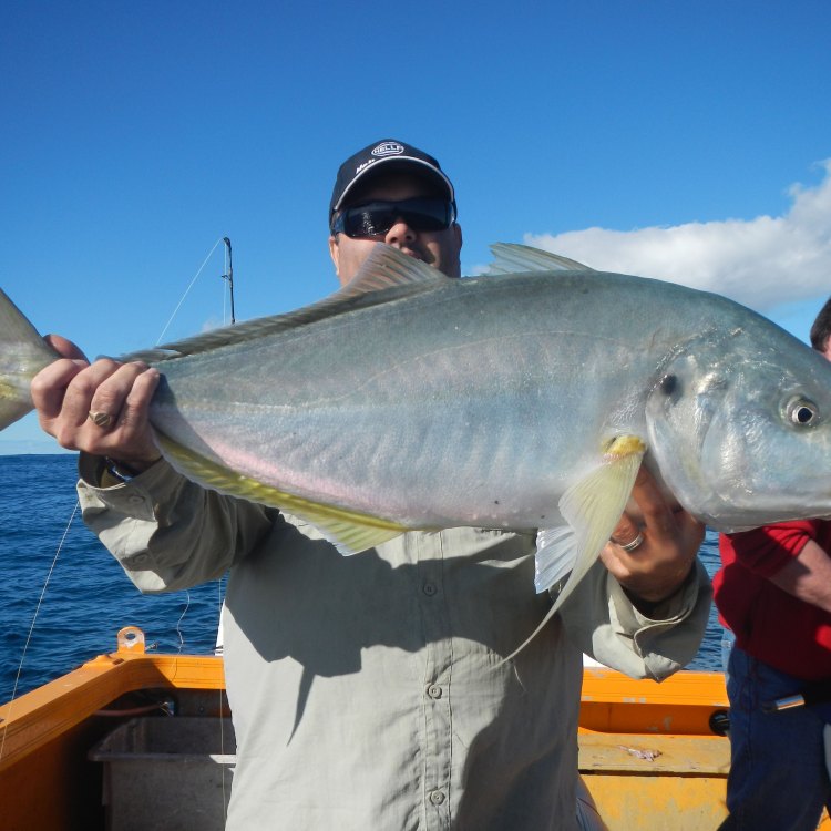 <b>The Mighty Trevally: A Powerful and Adaptable Fish of the Indo-Pacific</b>