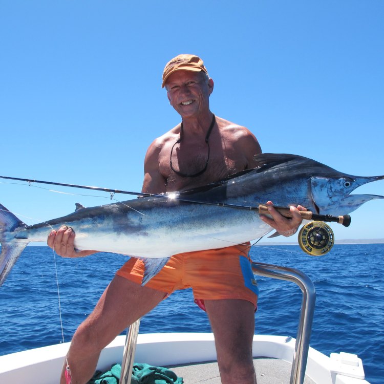 Fierce and Fast: Exploring the Fascinating World of the Marlin Fish