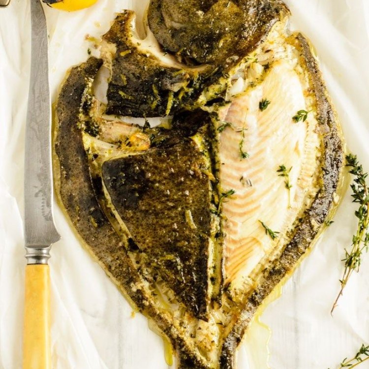 The Magnificent Flatfish: A Closer Look at the Turbot