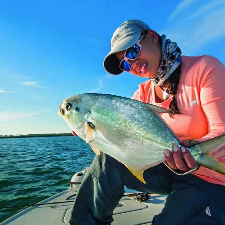 The Magnificent Pompano Dolphinfish: Discovering the Wonders of this Ocean Wanderer