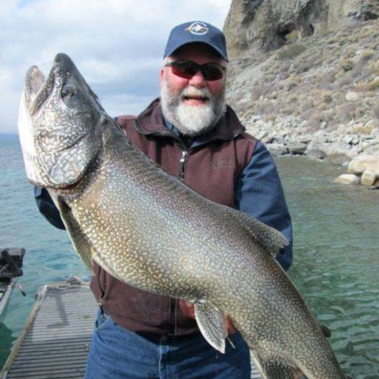 The Mighty and Mysterious Lake Trout: Survival in North America's Freshwater Lakes