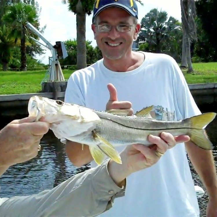 The Fascinating World of Snook: A Top Predator of the Western Atlantic