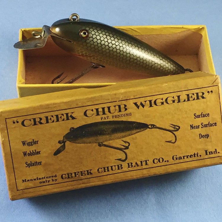 The Creek Chub: A Small but Mighty Fish of North America