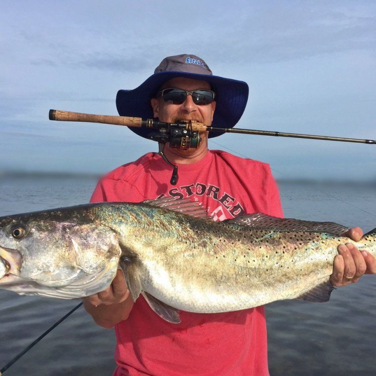 The Speckled Trout: A Coastal Marvel
