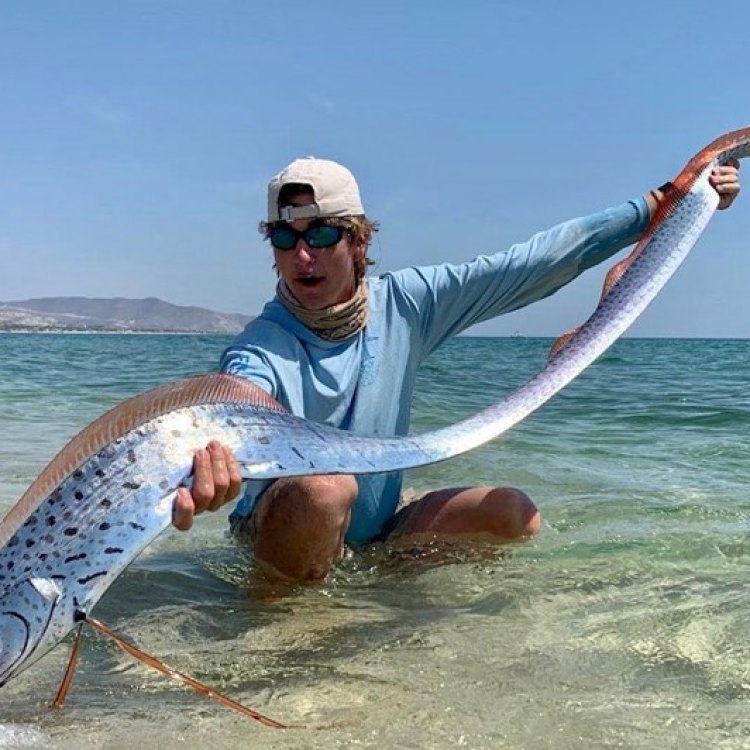 The Mysterious Oarfish: A Fascinating Creature of the Open Ocean